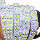 YWXLight 5M 3528SMD 1200LEDs Double Row Bare Board LED Flexible Light Strip, DC 12V (Cold white)
