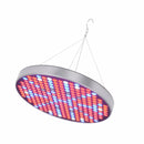 YWXLight 50W 250 LEDs Bulb Red + Blue Spectrum Hydroponics LED Indoor Plant Growth Light, EU Plug