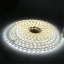 YWXLight LED Neon Flex Waterproof EU Plug 5M 600LED 5730 SMD 72 Watts White DIP Led Neon Ribbon AC 220-240V (Cold White)
