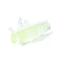 HENGJIA SO104 50 PCS 2.5cm/0.6g Insect Cricket Shaped Carp Simulation Bait Soft Bait for Fishing (Beige)