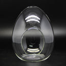 Egg Shaped DIY Moss Micro Landscape Glass Bottle Succulent Plants Vase Home Decoration