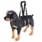 Dog Waist Harness Gog Harness Pet Protection Belt Nylon Clasp Protecting Waist Belt Sport Running Leash Pet Dogs Product