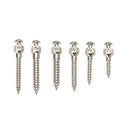 Self Drilling Thread Dental Orthodontic Micro Implants Screw Titanium Mini Screw