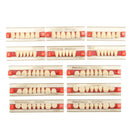 3 Set 84*1 A2 Color Denture Dental Acrylic Resin Teeth Upper + Lower Shade