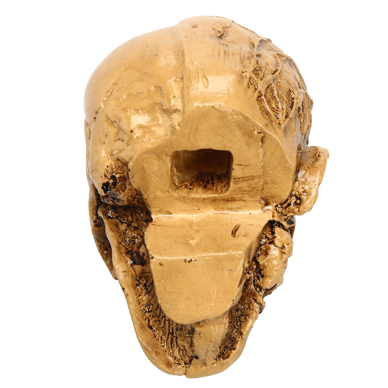 9cm Human Anatomical Anatomy Skull Head Muscle Bone Medical Model Home Decor