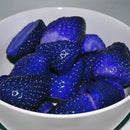 500Pcs Blue Strawberry Rare Fruit Vegetable Seeds Bonsai Edible Garden Climbing Plant