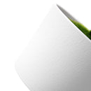 Mini Artificial Bonsai Fresh Anion Desktop Ionizer Air Purifier For Home Office