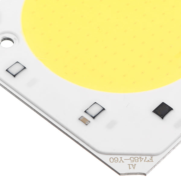 LUSTREON 30W 40W 50W DIY COB LED Light Chip Bulb Bead For Flood Light AC110/220V