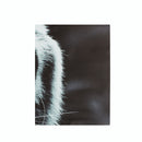 5Pcs/Set Modern Art Oil Canvas Painting Print Tiger Wallpaper Wall Sticker Home Decorations