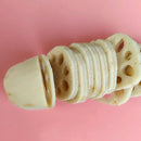 Egrow 5pcs/Bag Lotus Root Seeds Chinese Vegetable Lotus Root Seeds Aquatic Vegetable Plants Seeds