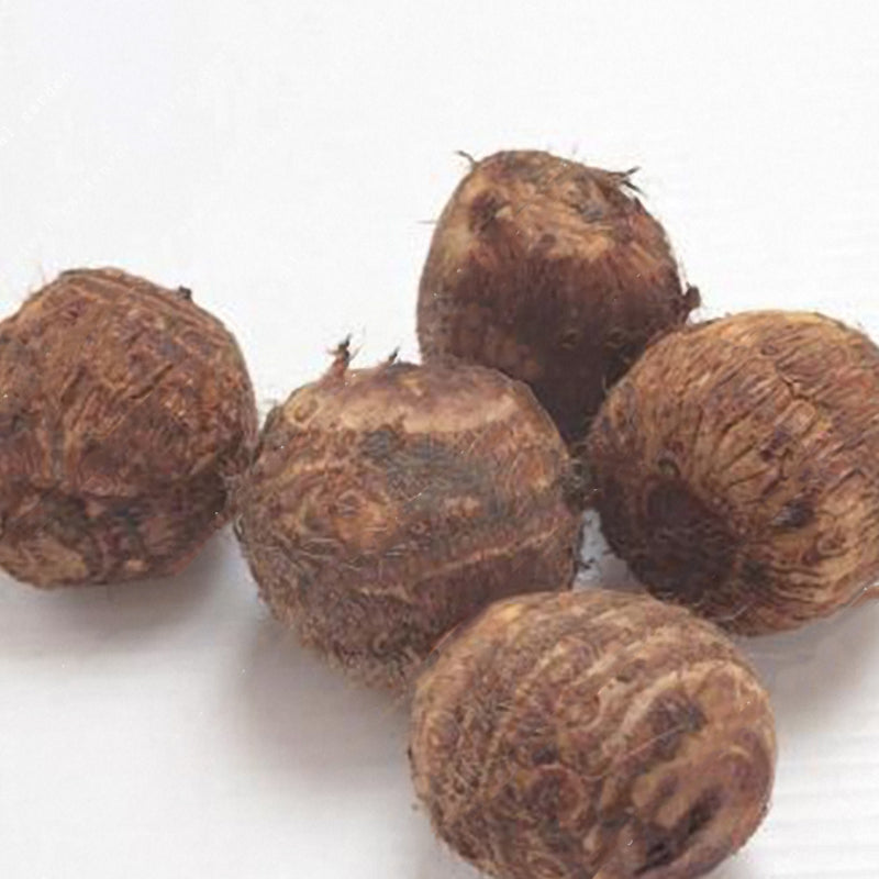 Egrow 100pcs/Bag Taro Seeds Rare Green Giant Taro Seeds Ornamental Leaves Edible Root Vegetable Seed