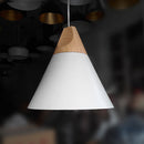 Single Head Diameter 22CM Creative Bar Coffee Dining Room Pendant Hanging Ceiling Light Fixture