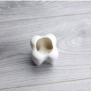 2Pcs Ceramic Plant Flower Pot Succulent Garden Cute Teeth White Home Decorative Storage Container