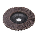 100x16mm Flap Discs Sanding Grinding Polishing Wheel