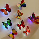 Miico Beautiful Butterfly LED Night Light Lamp With Suction Christmas Wedding Decor Sticker