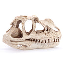 Resin Ceratosaurus Dinosaur Skull Fossil Model Collectible Craft Gift Decorations