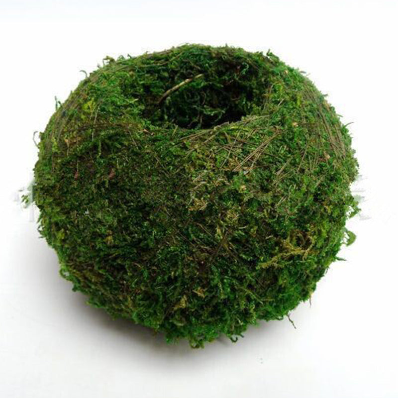 6-18cm Moss Weaved Ball Shape Flower Pot Succulent Planter Green Basket