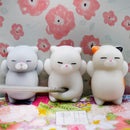 Mochi Squishy Cat Kitten Seal Squeeze Cute Healing Toy Kawaii Collection Stress Reliever Gift Decor