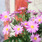 10PCS/ Artificial 9 Heads Korean Small Daisy Flowers Home Furnishing Garden Style Decorations