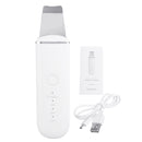 4 in 1 USB Charging Ultrasonic Vibration Ion Deep Cleaning Skin Scrubber EMS Pulse Peeling Shovel Facial Pore Cleaner