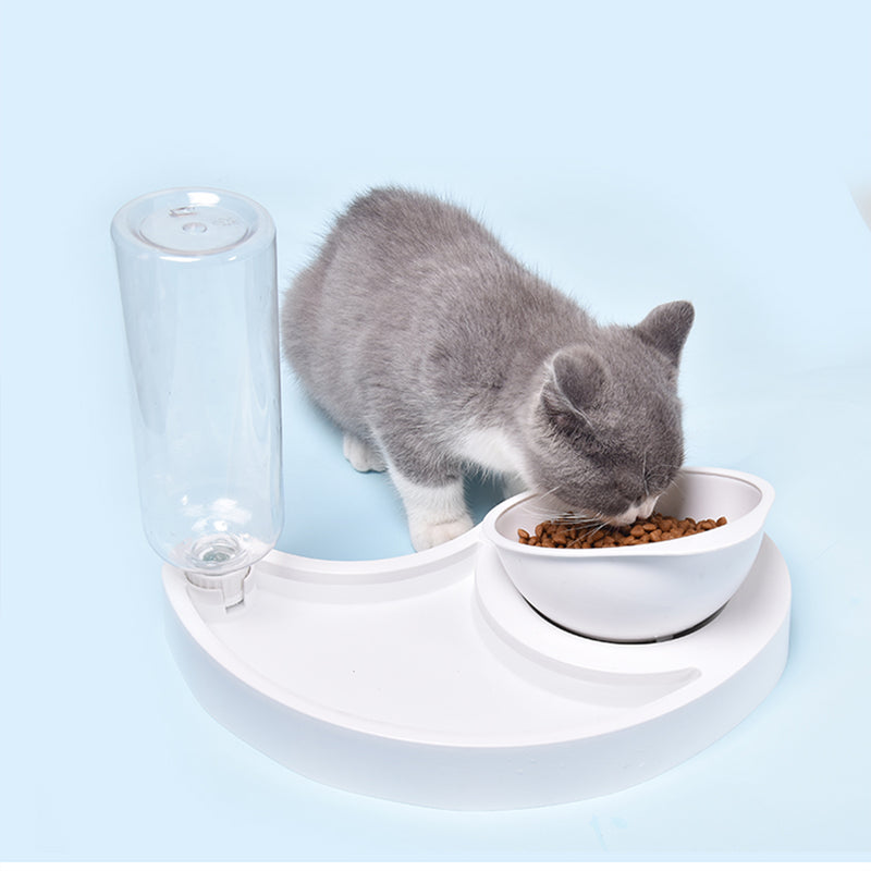 Automatic 2 in 1 Pet Feeder Cat Dog Bowl Waterer Dispenser Puppy Drinking Food Dish