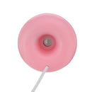 USB Ultrasonic Humidifier for Egg Incubator Accessories Enhance the Humidity