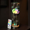 Para Ella Preserved Fresh Rose Flower with Fallen Petals in Glass Dome on a Wooden Base Decorations