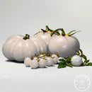 Egrow 100 Pcs/Pack Tomato Seeds White Tomato Organic Bonsai Home Vegetable Seeds Small Middle Large