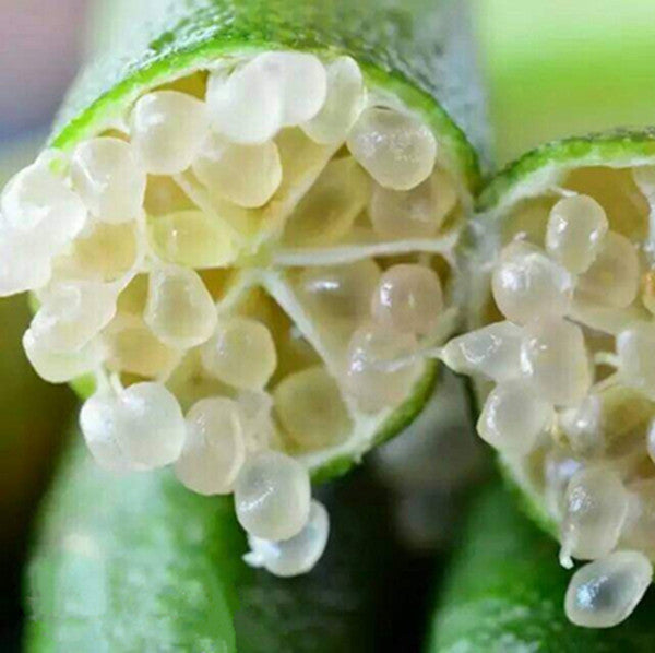 20Pcs Tropical Fruit Seeds Finger Limes Citrus Pomegranate Seeds Home Garden Balcony Rare Plants