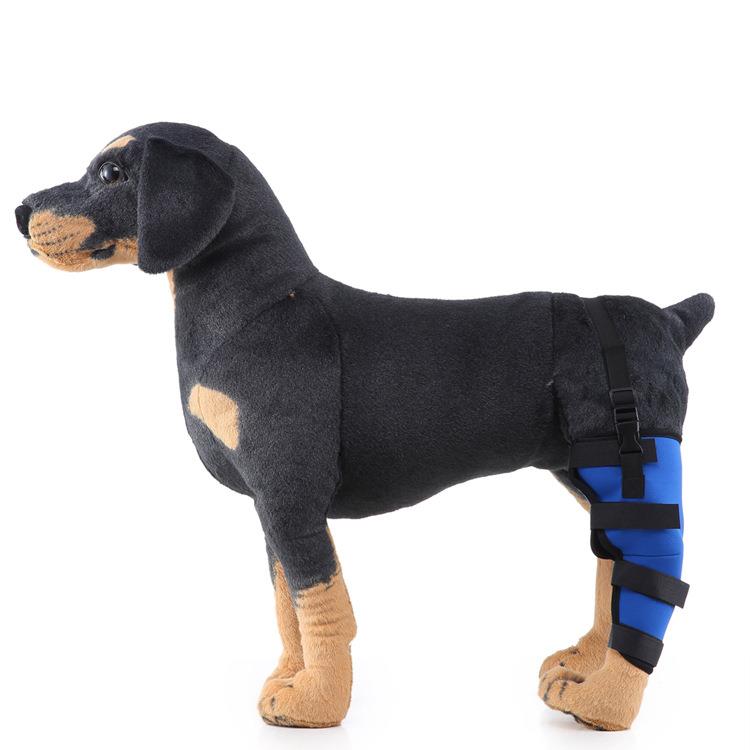 Pet Supplies Knee Pads Dog Leg Support Guard Assist Tool Protector Surgery Injury Protective Cover Reflective Clause Dog Hind Leg Guard