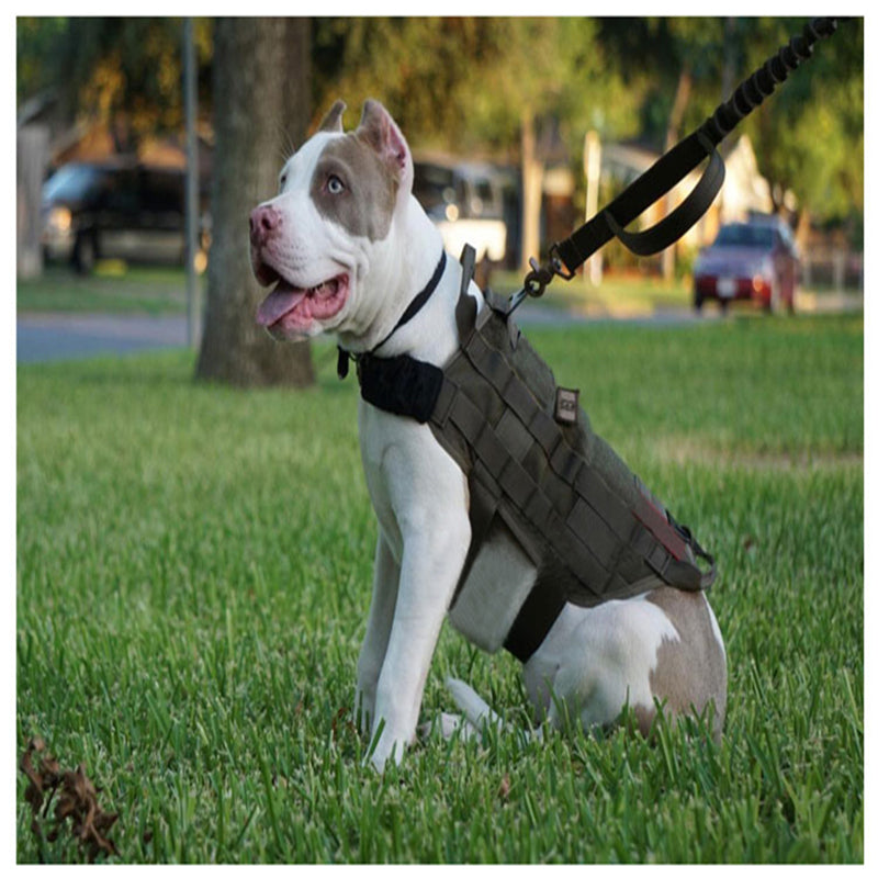 Army Tactical Dog Vest Hunting Dog Training Molle Vest Outdoor Military Dog Clothes