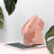 Sothing GF03 FREE USB Desktop Fan Aroma Diffuser 360 Adjustable 30dB Low Noise Aromatherapy Fan from xiaomi youpin