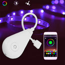 DC12V Wireless Smart Voice Control WiFi RGB LED Strip Light Controller Work With Alexa Google Home