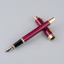Hero 6190 Fountain Pen 0.5mm Fine Nib Calligraphy Signing Ink Pens with Dragon Clip Business Gifts Office School Supplies
