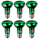 E27 R63 25W 40W 50W 60W 75W 100W Green Night Amphibian Snake Lamp Heat Reptil Light Bulb AC220-240V