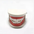 Molar Pads Anti-Grinding Orthodontic Brace Sleeping Wear-Resistant Teeth Braces Health Teeth Care Dental Tools