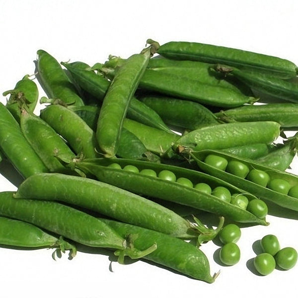 Egrow 20Pcs/Pack Sweet Pea Seeds Multi-grain Cold-resistant Garden Farm Vegetable Plants Seeds