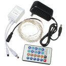 12V 5M 50LED Silver Wire Christmas String Fairy Light Remote Controller with Adapter