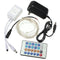 12V 5M 50LED Silver Wire Christmas String Fairy Light Remote Controller with Adapter