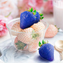 500PCS Blue Strawberry Seeds Heirloom Super Strawberry Garden Seeds Garden Climbing Plant