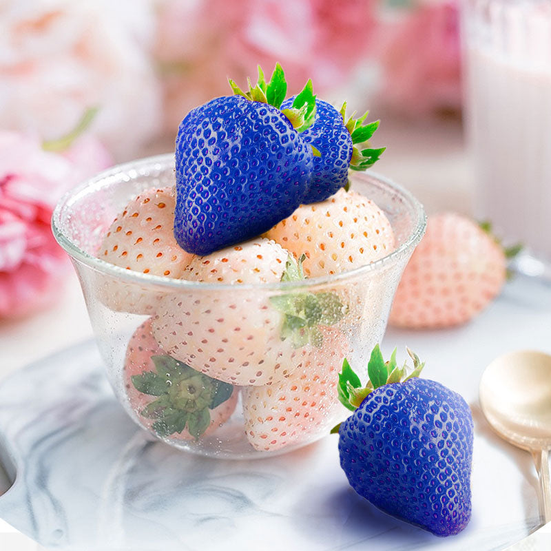500PCS Blue Strawberry Seeds Heirloom Super Strawberry Garden Seeds Garden Climbing Plant