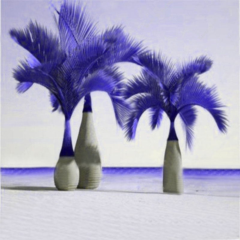 Egrow 20 Pcs Exotic Bottle Palm Seeds Bonsai Tropical Ornamental Tree Plant Seeds Garden Planting