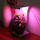 50W Full Spectrum LED Grow Light USB Table Desk Lamp for Home Indoor Plants DC5V