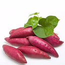Egrow 20Pcs/Bag Sweet Potato Seeds Fresh Food Vegetable Farm Garden Plants Red Purple Potato Seed
