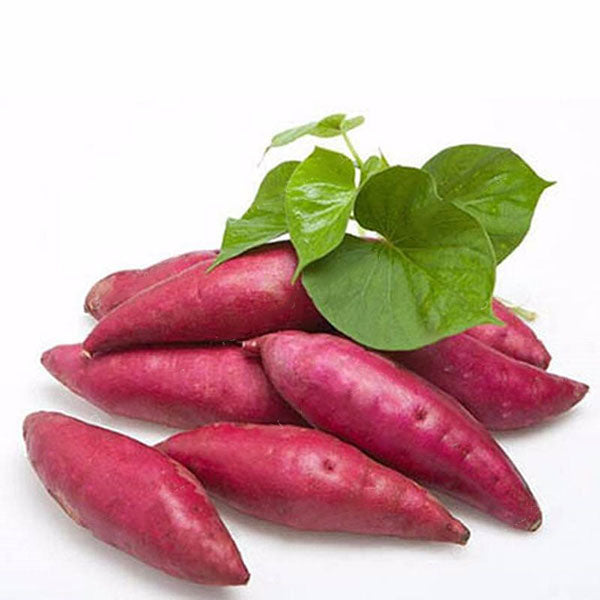 Egrow 20Pcs/Bag Sweet Potato Seeds Fresh Food Vegetable Farm Garden Plants Red Purple Potato Seed