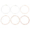 ROAD DOG AC10 6 Pcs Set Ultra-thin Coating Softer Phosphorus Copper String Electric Guitar Strings