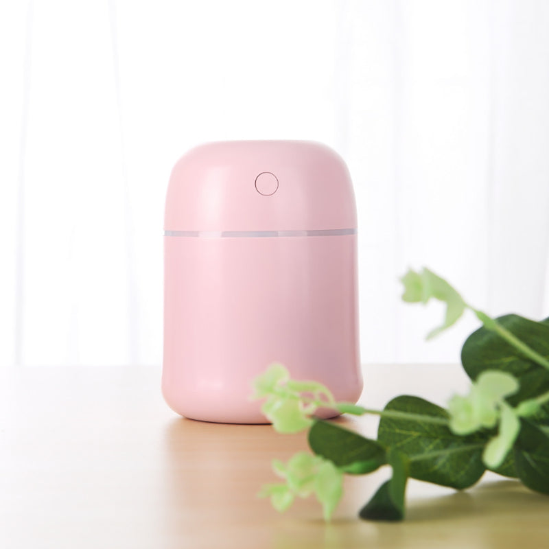 220ML Mini Air Humidifier USB Atomizer Negative Ion Ultrasonic Aromatherapy Air Cleaner Purifier