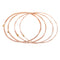 ROAD DOG AC10 6 Pcs Set Ultra-thin Coating Softer Phosphorus Copper String Electric Guitar Strings