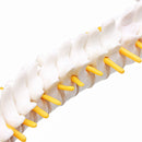 Lifesize Human Vertebral Column Model Spine Anatomy Model Vertebrae Skeleton Nerves Medical Model
