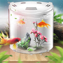 5L USB LED Small Fish Tank 180 Open Acrylic Half Moon Mini Aquarium Decor